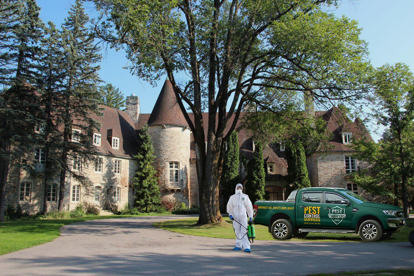 Fast & Reliable Pest Control Services in King