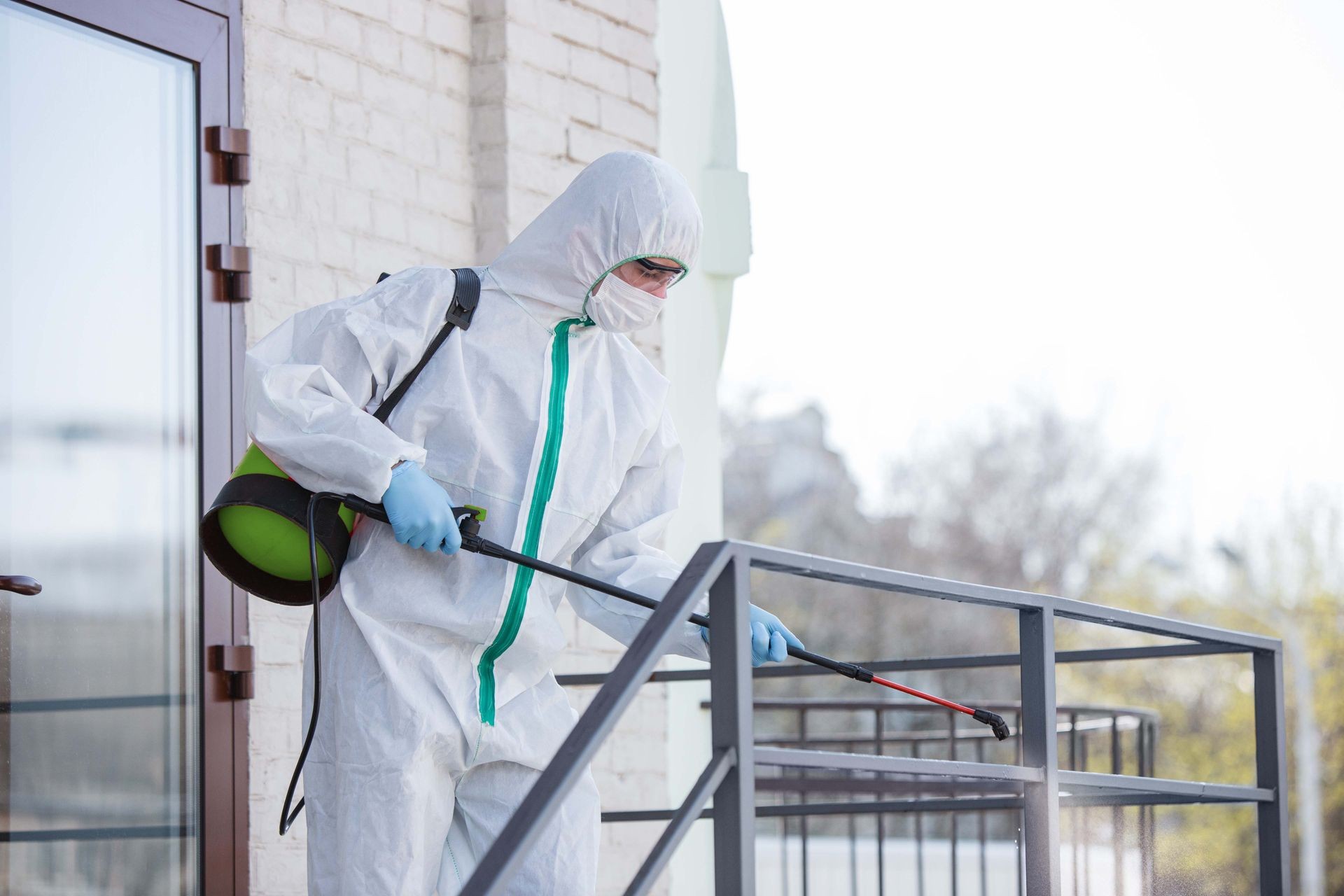 Cheap wildlife removal services Barrie, ON