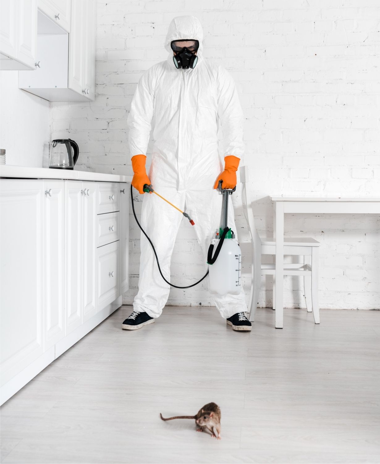 Licensed pest control Bradford