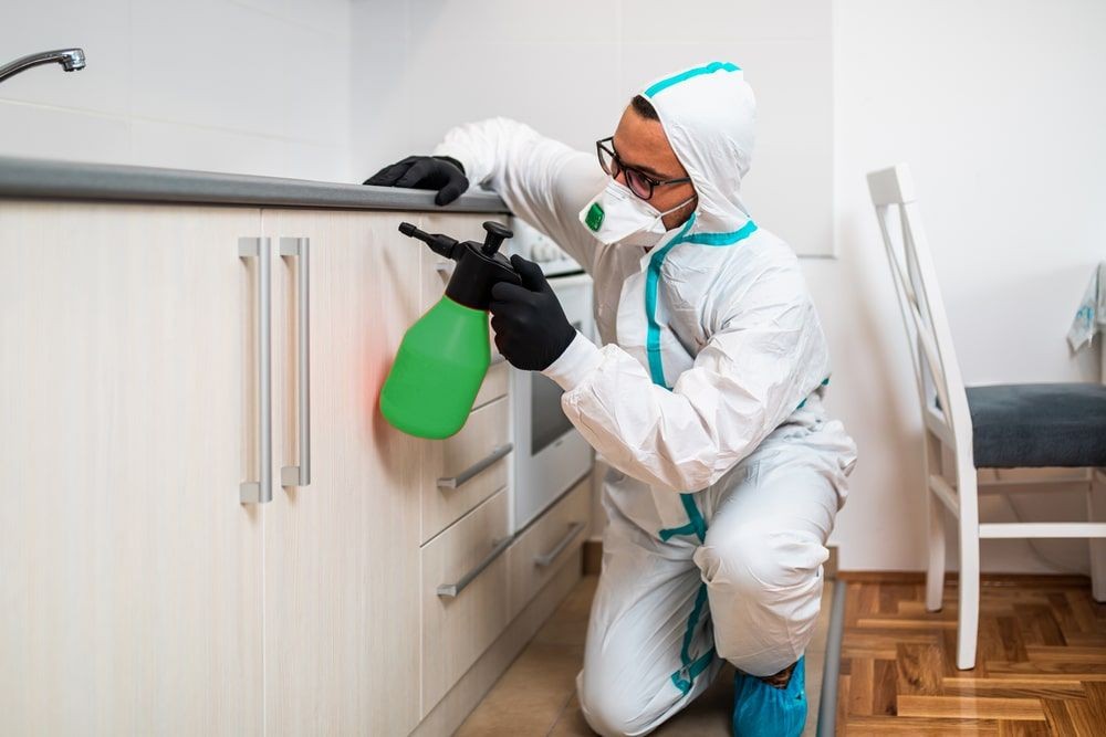Licensed pest control Barrie, ON