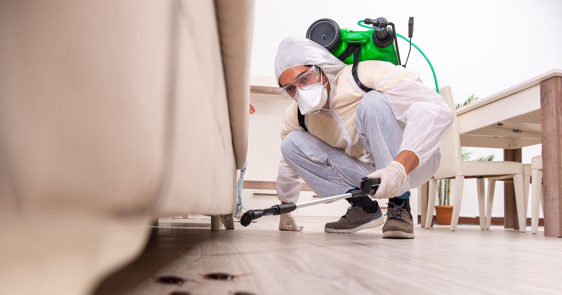 wildlife removal in King City, Ontario