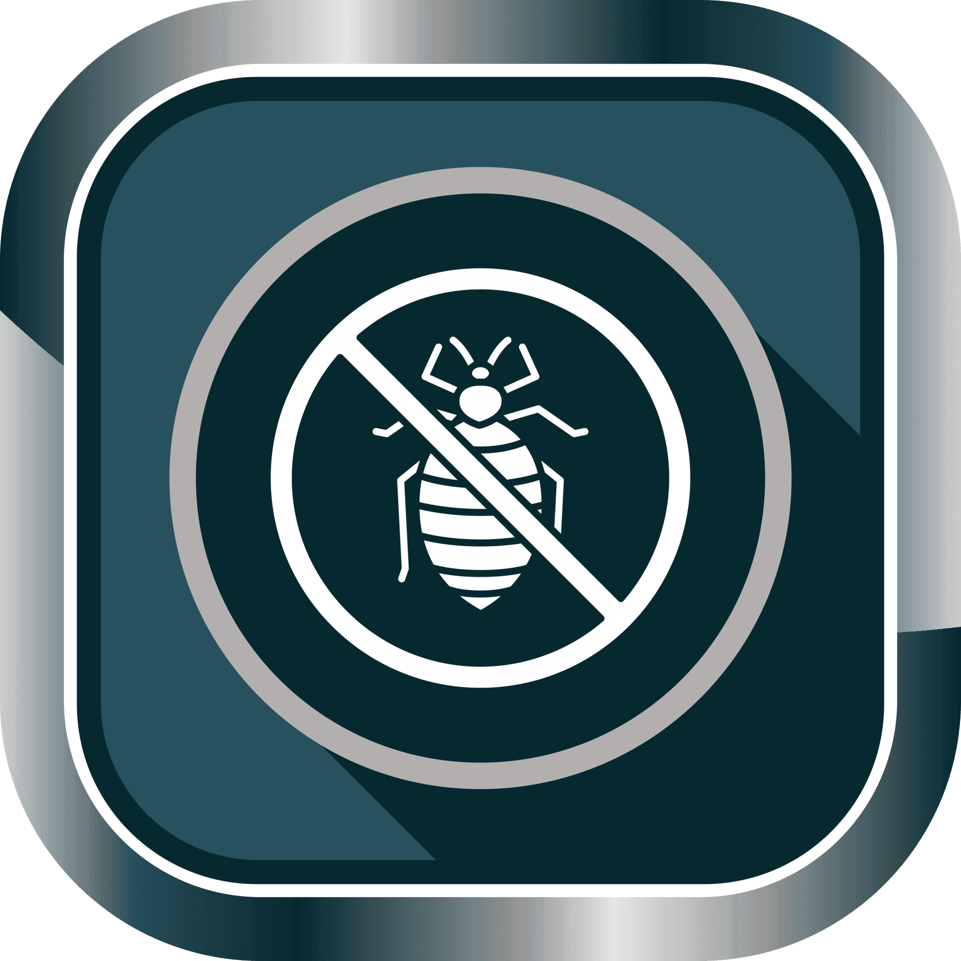 Bed Bug Eradication Service
