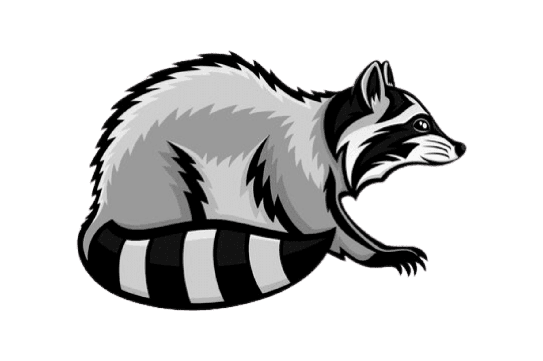 Wildlife Removal Solutions