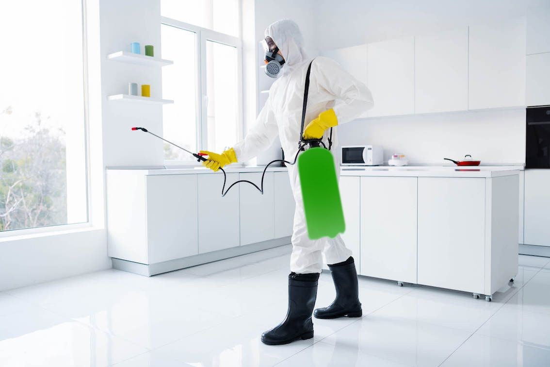 Eco-friendly pest control Bradford, ON