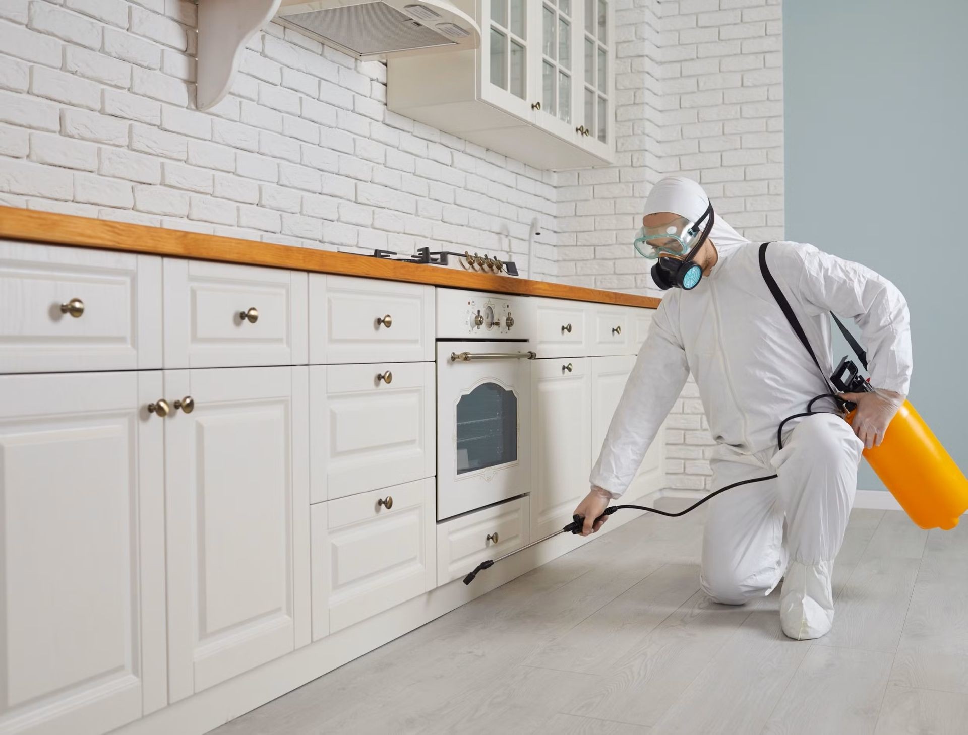 Eco-friendly pest control Toronto