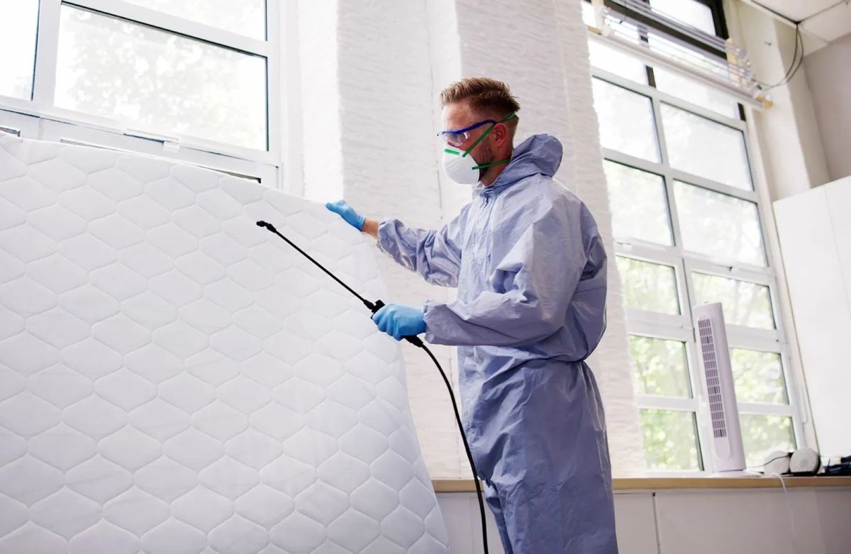 Professional Heat & Chemical Treatment Services