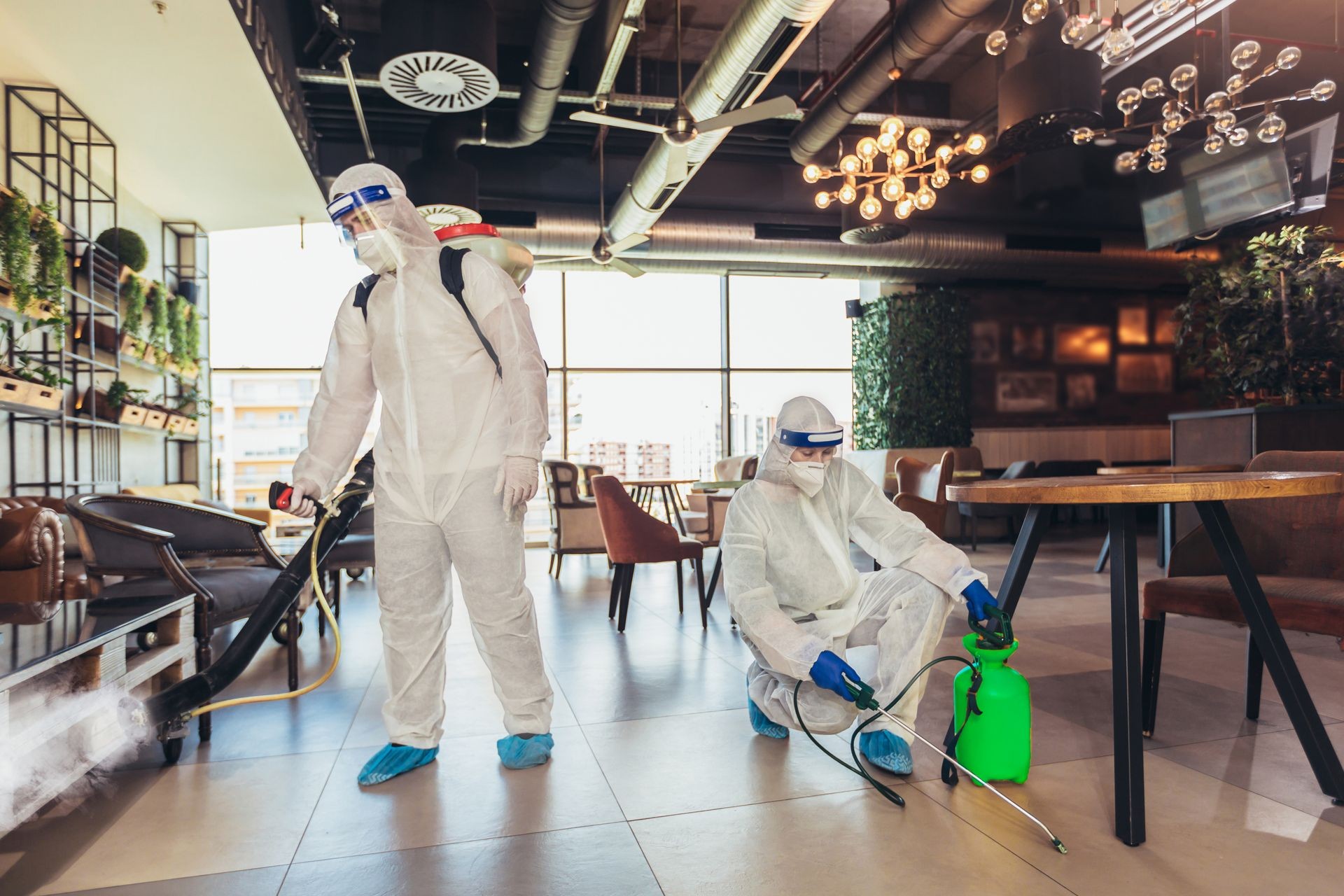 Best restaurant pest control toronto