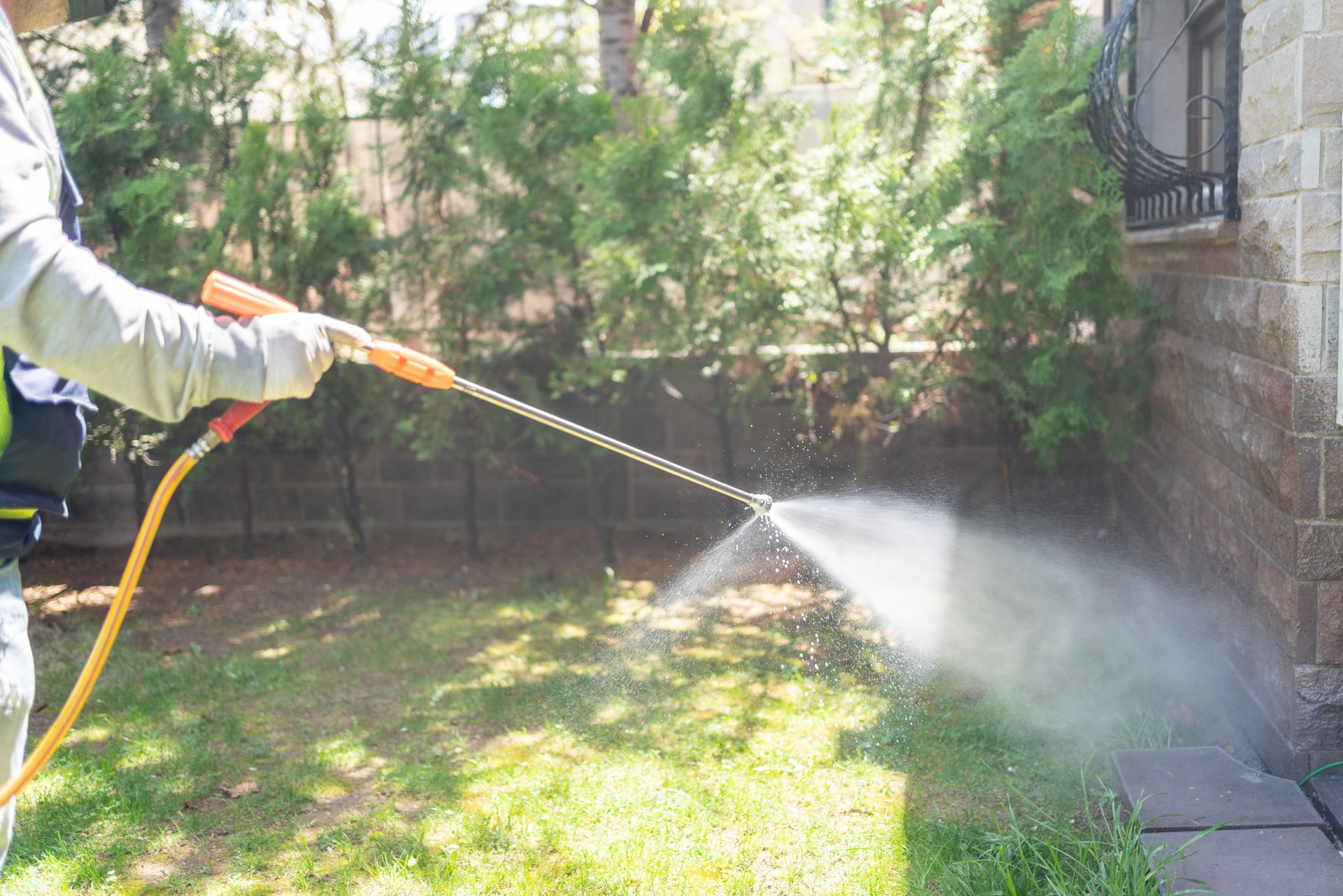 Doing Pest Control Outside House