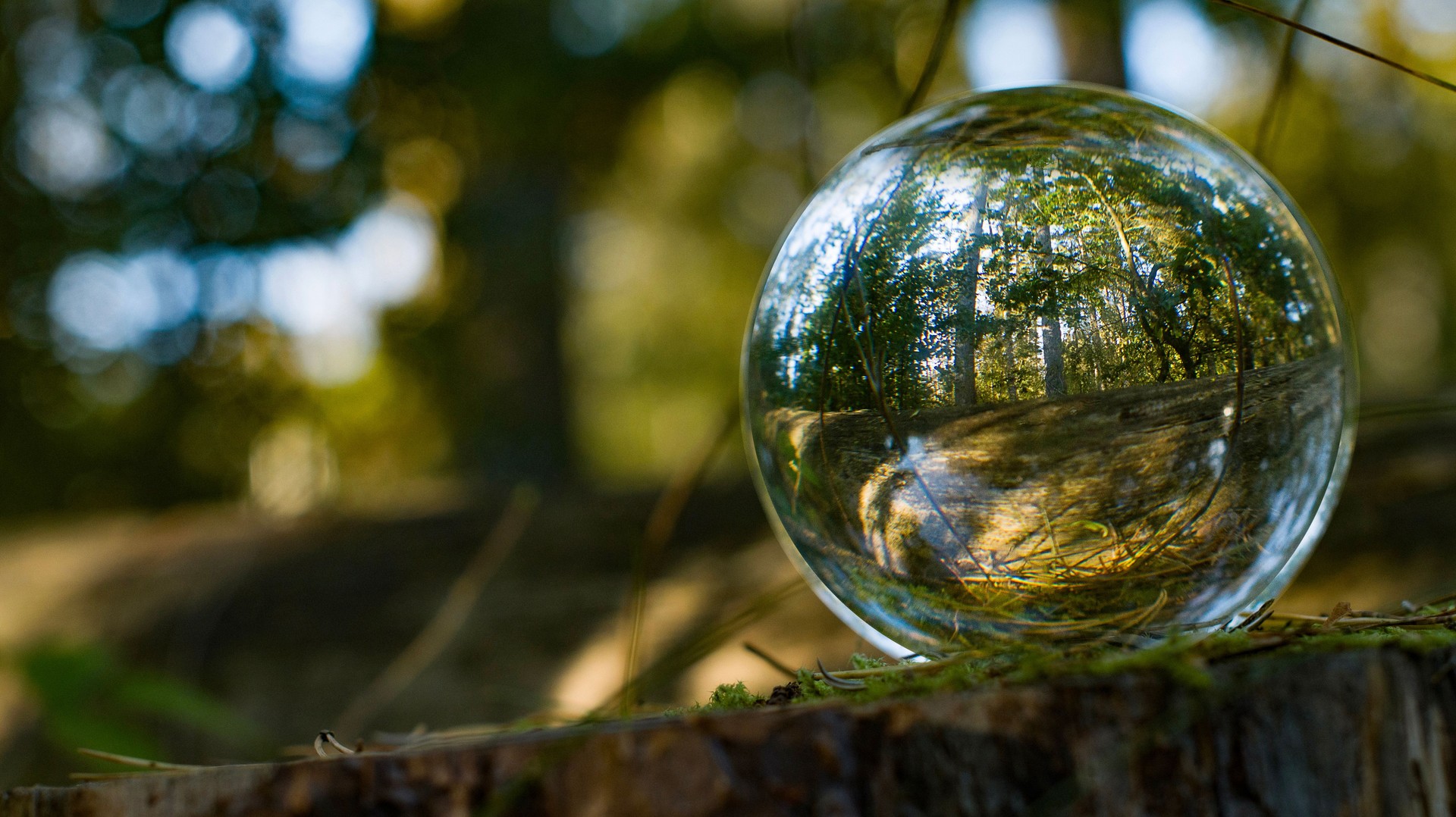 Focus on taking care of nature shown with a glass ball  reflecting the Scandinavian forests, landscapes and nature inside and outside the ball. A room with nature in the nature.