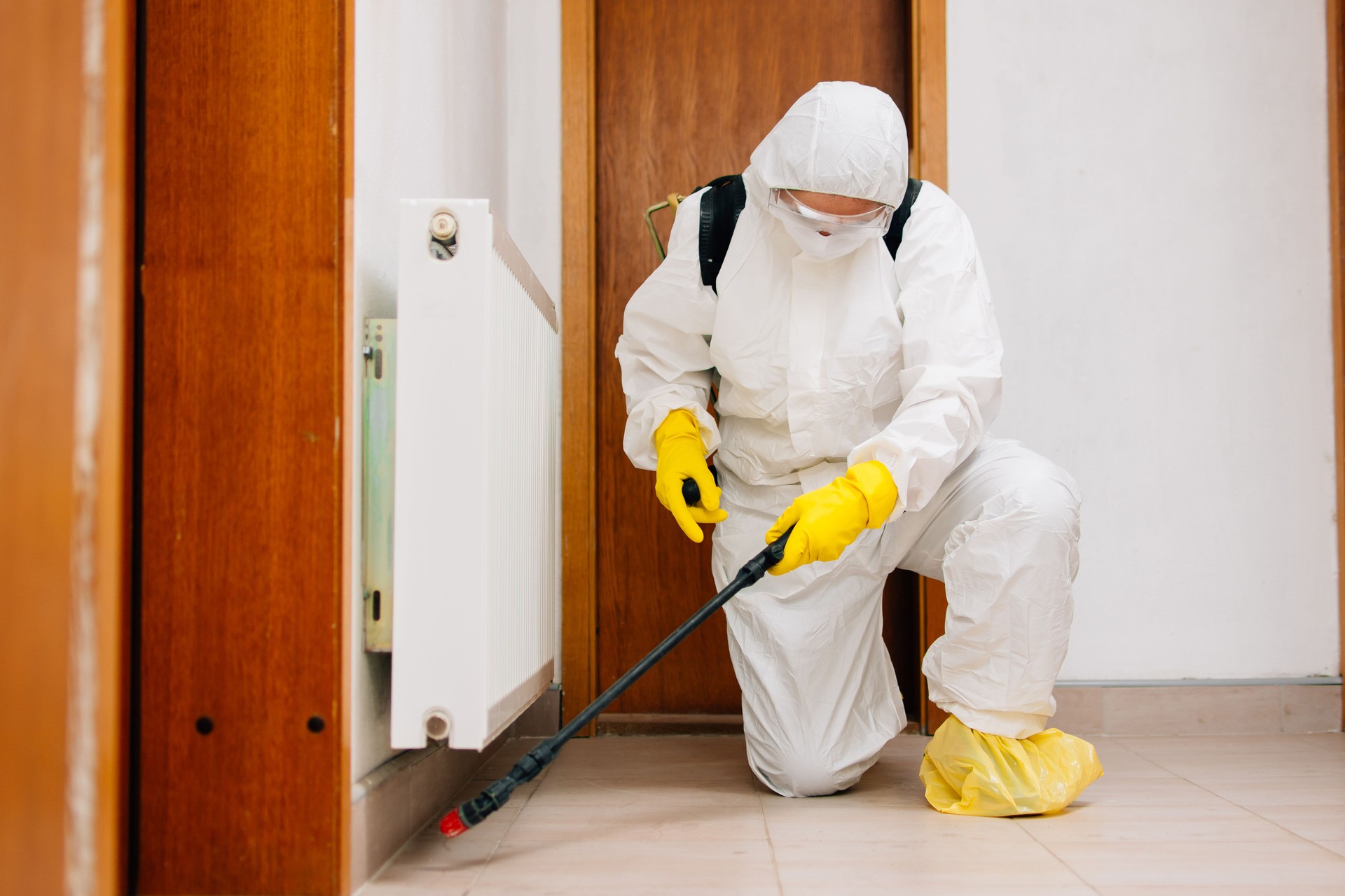 Exterminator, hygiene, disinfection