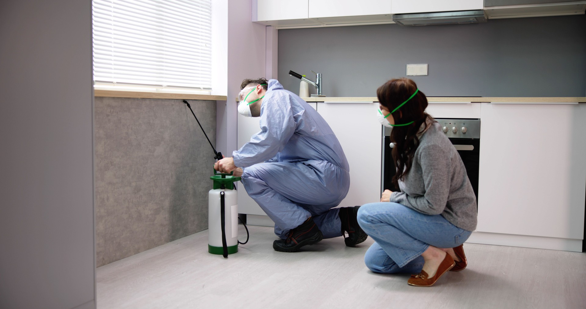 Exterminator Worker Spraying Insecticide Chemical