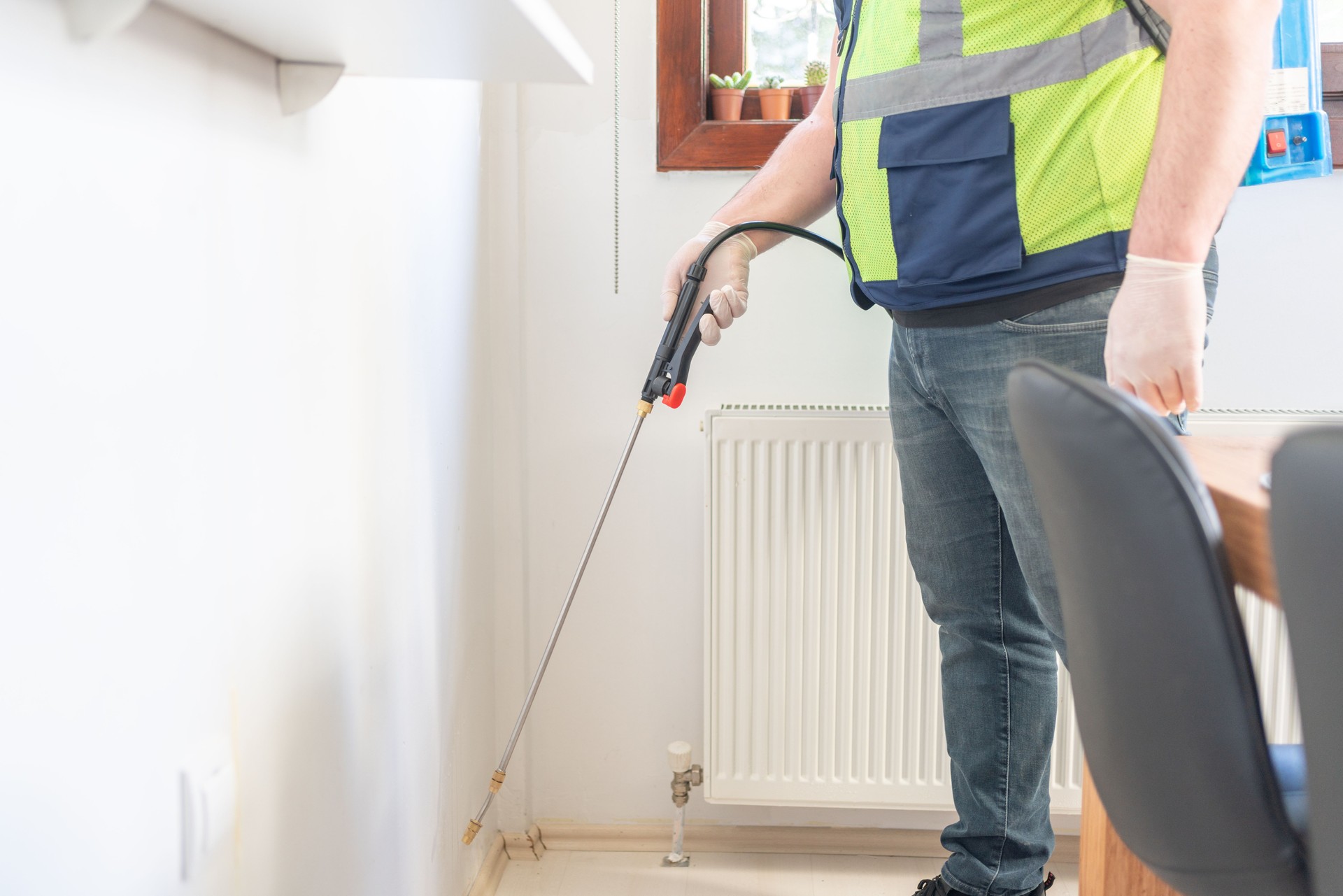 Doing Pest Control At Home