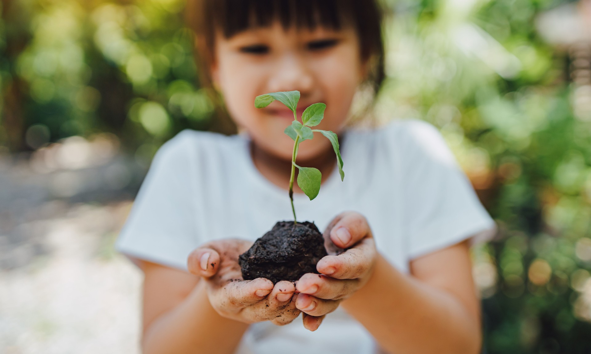 kid planting a tree for help to prevent global warming or climate change and save the earth. Picture for concept of Earth Day to encourage people about the environmental protection.